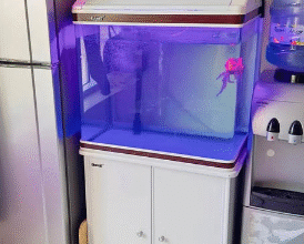 Aquarium for sale