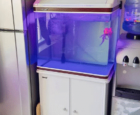Aquarium for sale