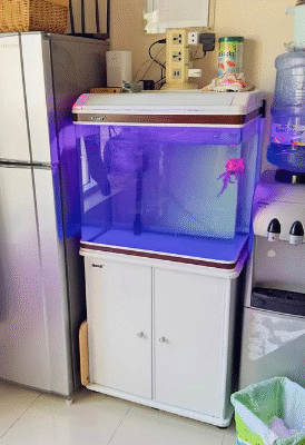 Aquarium for sale