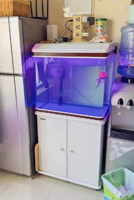 Aquarium for sale