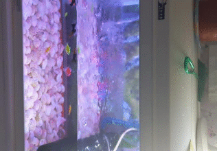 Used Aquarium for sale