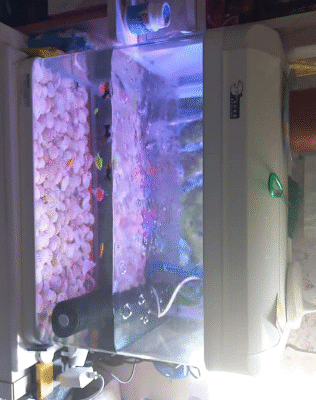 Used Aquarium for sale