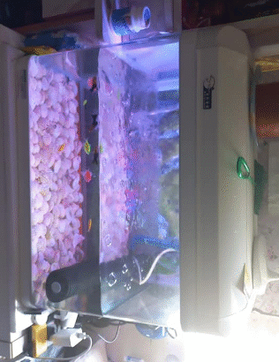 Used Aquarium for sale