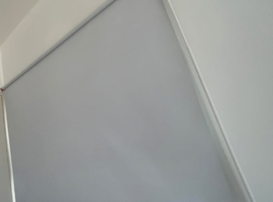 FRIDANS Block-out roller blind for sale