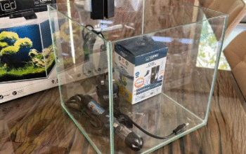 Ciano Cube Fish Tank with Glass Lid / LED For Sale