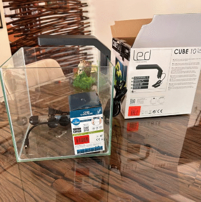 Ciano Cube Fish Tank with Glass Lid / LED For Sale