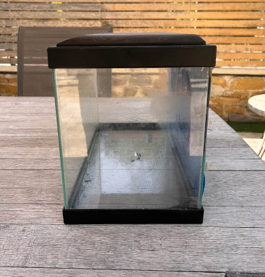 Ciano 20 Fish Tank with lid for sale