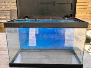 Ciano 20 Fish Tank with lid for sale