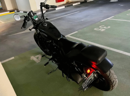 Custome 2017 Harley Davidson Iron 883 For Sale