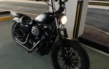 Custome 2017 Harley Davidson Iron 883 For Sale