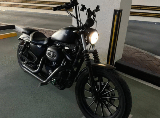 Custome 2017 Harley Davidson Iron 883 For Sale