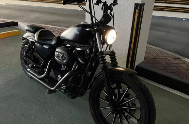 Custome 2017 Harley Davidson Iron 883 For Sale