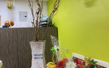 Decorative Long Flower Vase for Sale