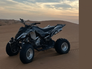 Yamaha Raptor 700, 2009 Special Edition for sale