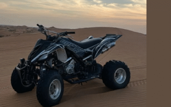 Yamaha Raptor 700, 2009 Special Edition for sale