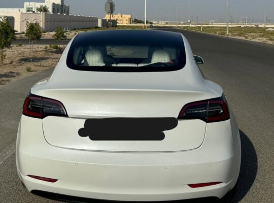 Tesla model 3 long range 2020 USA imported