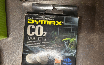Fish Aquarium accessories For Sale