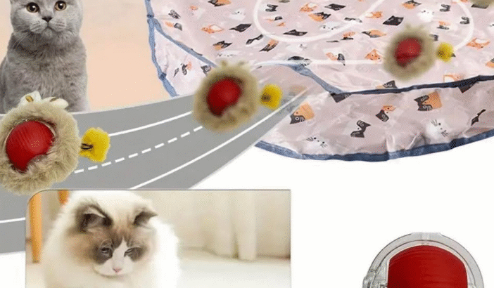 USB rechargeable cat toy (small dogs)
