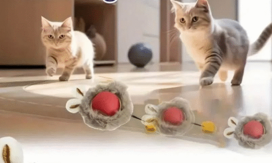 USB rechargeable cat toy (small dogs)