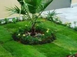 بديل خشب عمل شلالات و نوافير وعشب صناعي