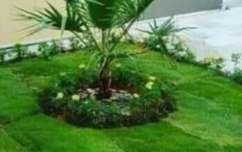 بديل خشب عمل شلالات و نوافير وعشب صناعي