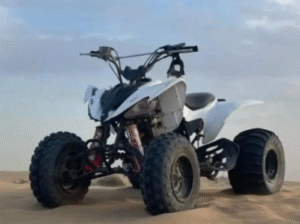Yamaha Raptor 250 2011 for sale