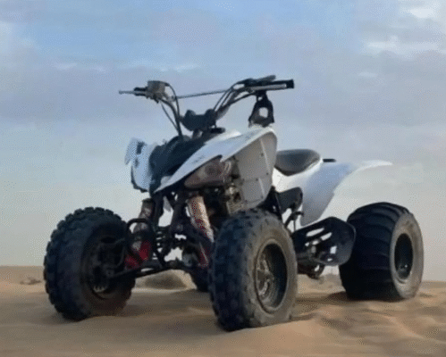 Yamaha Raptor 250 2011 for sale