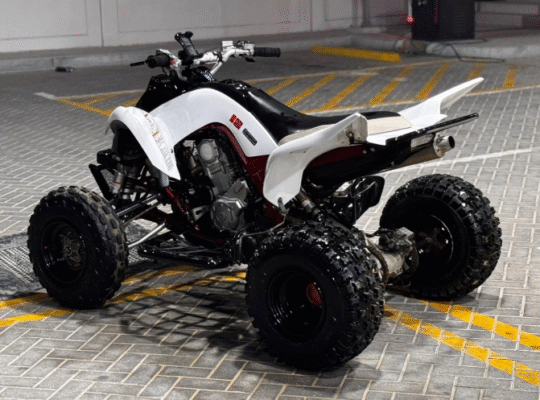 Raptor R 700 Special Edition 2009 in good conditio