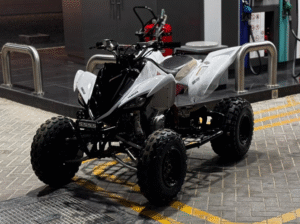 Raptor R 700 Special Edition 2009 in good conditio