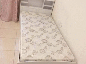 Brand New Bed and Mattress for sale
