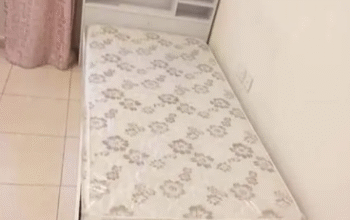 Brand New Bed and Mattress for sale