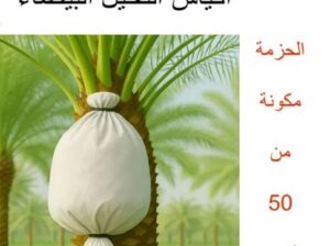 اكياس النخيل البيضاء