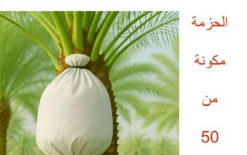 اكياس النخيل البيضاء