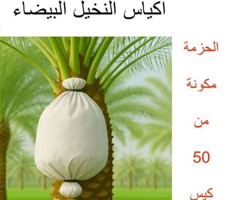 اكياس النخيل البيضاء