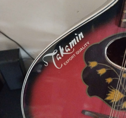 Sharukh khan’s guitar from Scott Land For Sale