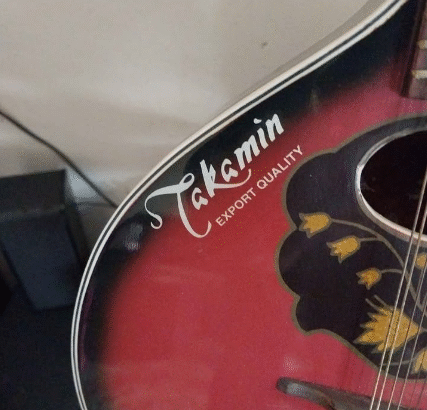 Sharukh khan’s guitar from Scott Land For Sale
