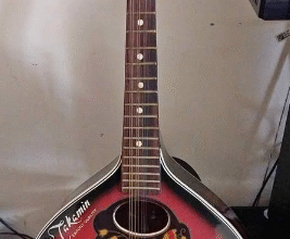 Sharukh khan’s guitar from Scott Land For Sale
