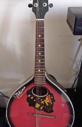 Sharukh khan’s guitar from Scott Land For Sale