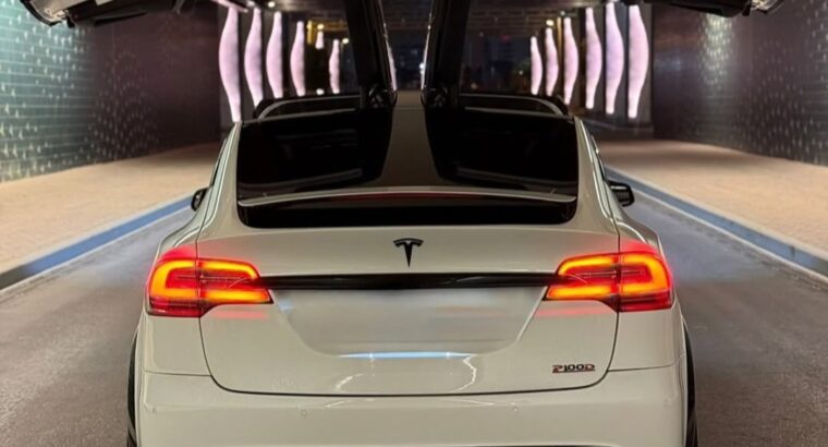 Tesla model X performance 2019 Gcc