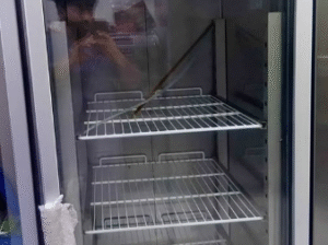 Single Door Chiller For Sale
