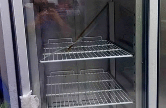 Single Door Chiller For Sale