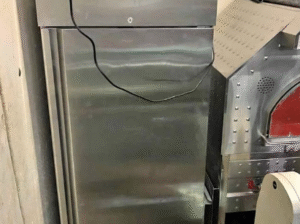 Upright Single Door Freezer For Sale
