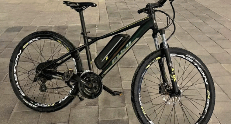 Electric bicycle for sale