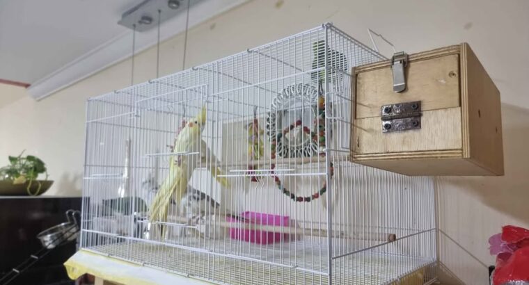 Bird cage in excellent condition for sale
