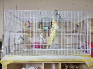 Bird cage in excellent condition for sale