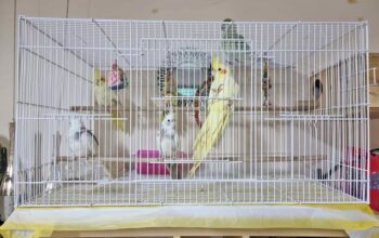 Bird cage in excellent condition for sale