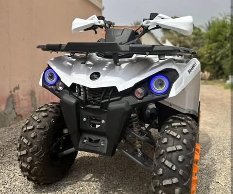 SharmaX Hummer 300cc 2024 in perfect condition for
