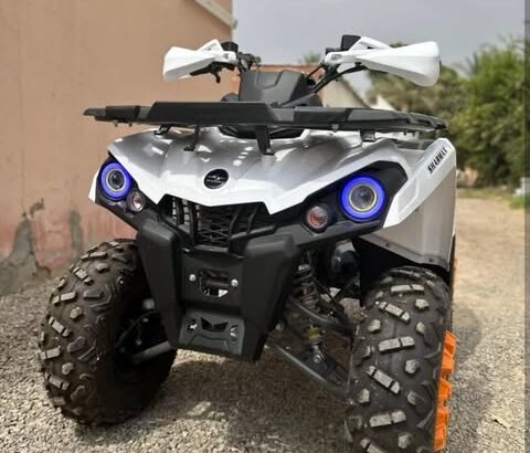 SharmaX Hummer 300cc 2024 in perfect condition for