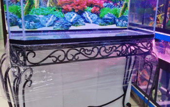 Aquarium 100cm Glass For Sale