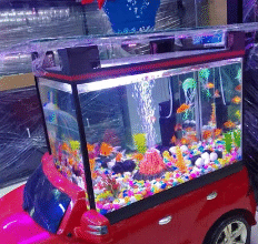 Aquarium car Degsin For Sale